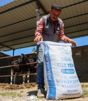 aydin-buyuksehir-belediyesinden-germencikte-ureticiye-can-suyu-baskan-cercioglundan-yem-destegi