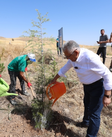 buyuksehirden-son-7-yilda-786-bin-fidan-ile-kayseriye-yesil-katki-26