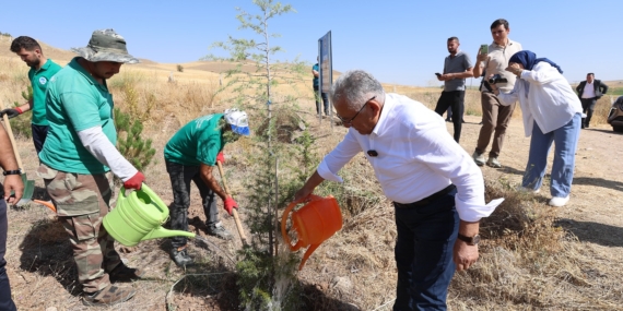 buyuksehirden-son-7-yilda-786-bin-fidan-ile-kayseriye-yesil-katki-26