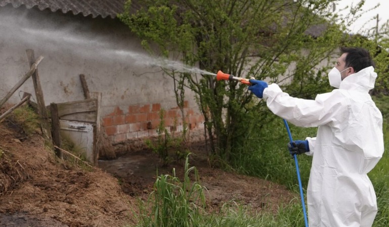 Düzce’de Haşereye Karşı Erken Kalkan Yol Alır: Larva ve Uçkunla Mücadele Tüm Şehre Yayıldı