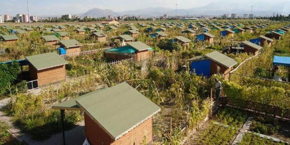 hobi-bahcelerinde-yeni-donem-gercek-bahceler-ile-kacak-villalar-birbirinden-ayirt-edilecek