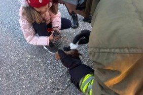 minik-canlara-hayat-opucugu-itfaiyeden-mucize-dokunus