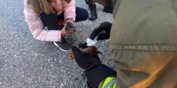 minik-canlara-hayat-opucugu-itfaiyeden-mucize-dokunus