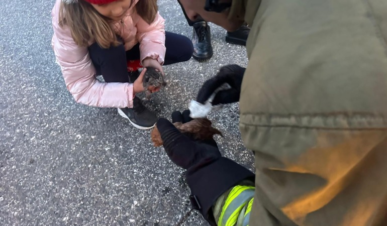 minik-canlara-hayat-opucugu-itfaiyeden-mucize-dokunus