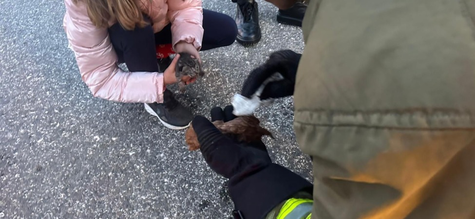 minik-canlara-hayat-opucugu-itfaiyeden-mucize-dokunus