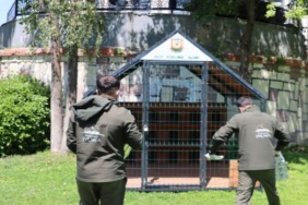 sanliurfa-buyuksehirden-patili-dostlara-konforlu-yuva-sokak-kedileri-icin-ornek-proje