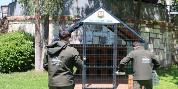 sanliurfa-buyuksehirden-patili-dostlara-konforlu-yuva-sokak-kedileri-icin-ornek-proje