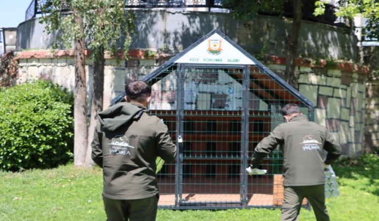 Şanlıurfa Büyükşehir’den Patili Dostlara Konforlu Yuva: Sokak Kedileri İçin Örnek Proje