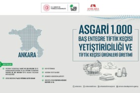 ankara-kalkinma-ajansi-duyurdu-yerel-kalkinma-hamlesi-basvurulari-devam-ediyor