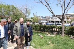 baskan-gulpinar-birecik-cikartmasi-esnafin-taleplerini-yerinde-dinledi