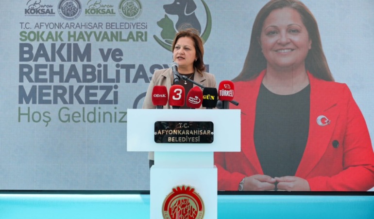 AFYONKARAHİSAR SOKAKLARINDA SAHİPSİZ HAYVAN KALMAYACAK!