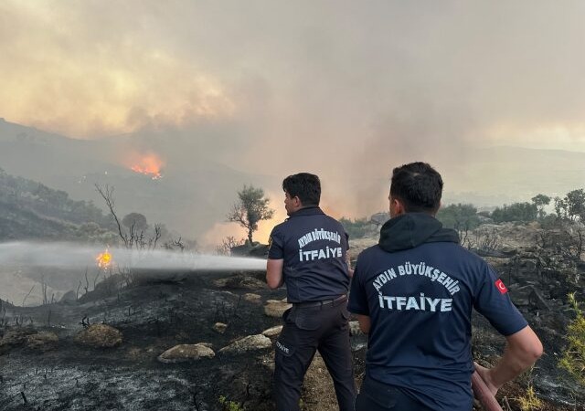 Aydın İtfaiyesi Alevlerle Mücadelede Teyakkuzda: 1 Haftada 446 Yangına Anında Müdahale!