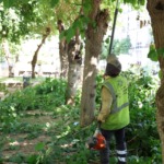 baskan-cercioglundan-yesil-kent-hamlesi-aydinin-park-ve-sosyal-alanlari-bastan-asagi-yenileniyor