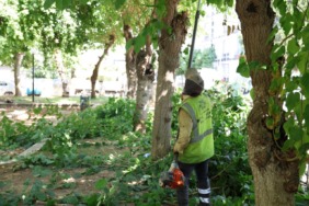 baskan-cercioglundan-yesil-kent-hamlesi-aydinin-park-ve-sosyal-alanlari-bastan-asagi-yenileniyor