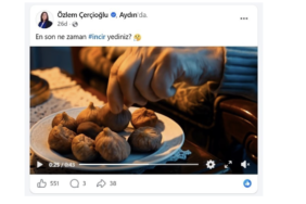 baskan-cercioglundan-incir-tanitim-filmi