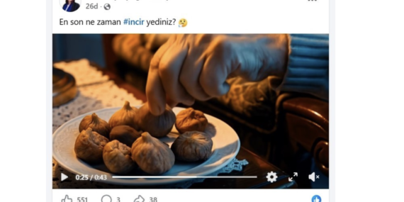 baskan-cercioglundan-incir-tanitim-filmi