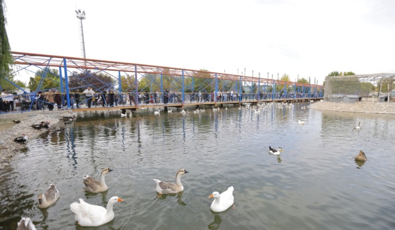 Kayseri’de Hayvan Sevgisi Zirvedeydi: Binlerce Aile Hayvanat Bahçesine Akın Etti