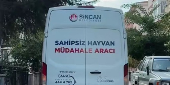 sincanda-sahipsiz-hayvanlar-icin-seferberlik-ekipler-sahipsiz-hayvan-mudahale-araci-haybulans-ile-sahada