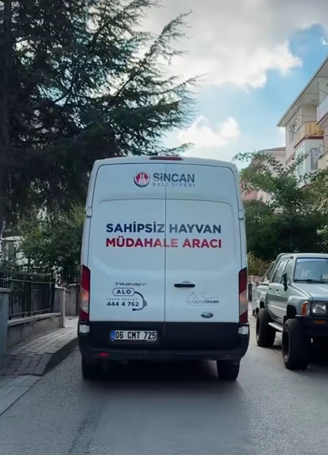 sincanda-sahipsiz-hayvanlar-icin-seferberlik-ekipler-sahipsiz-hayvan-mudahale-araci-haybulans-ile-sahada